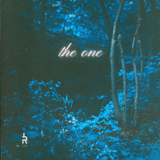 The One — SECRET AGENT