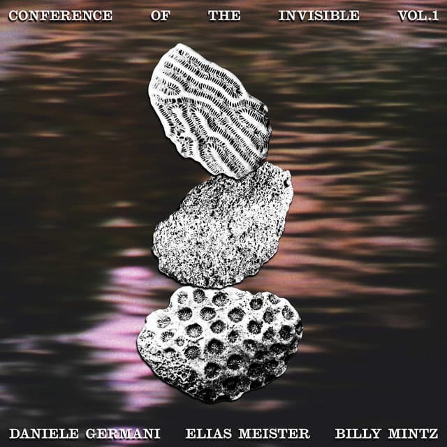 Conference of the Invisible, Vol. 1 — Daniele Germani, Elias Meister