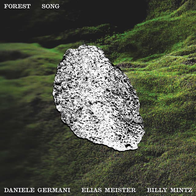 Forest Song — Daniele Germani, Elias Meister