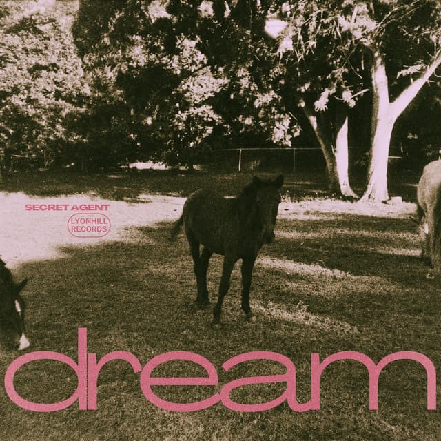 DREAM DREAM — SECRET AGENT